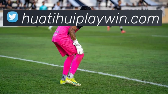 华体会体育APP 封面图